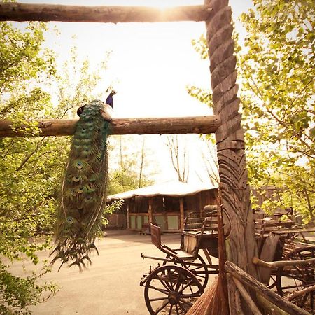 Bamboo Lodge Groningen Exterior foto
