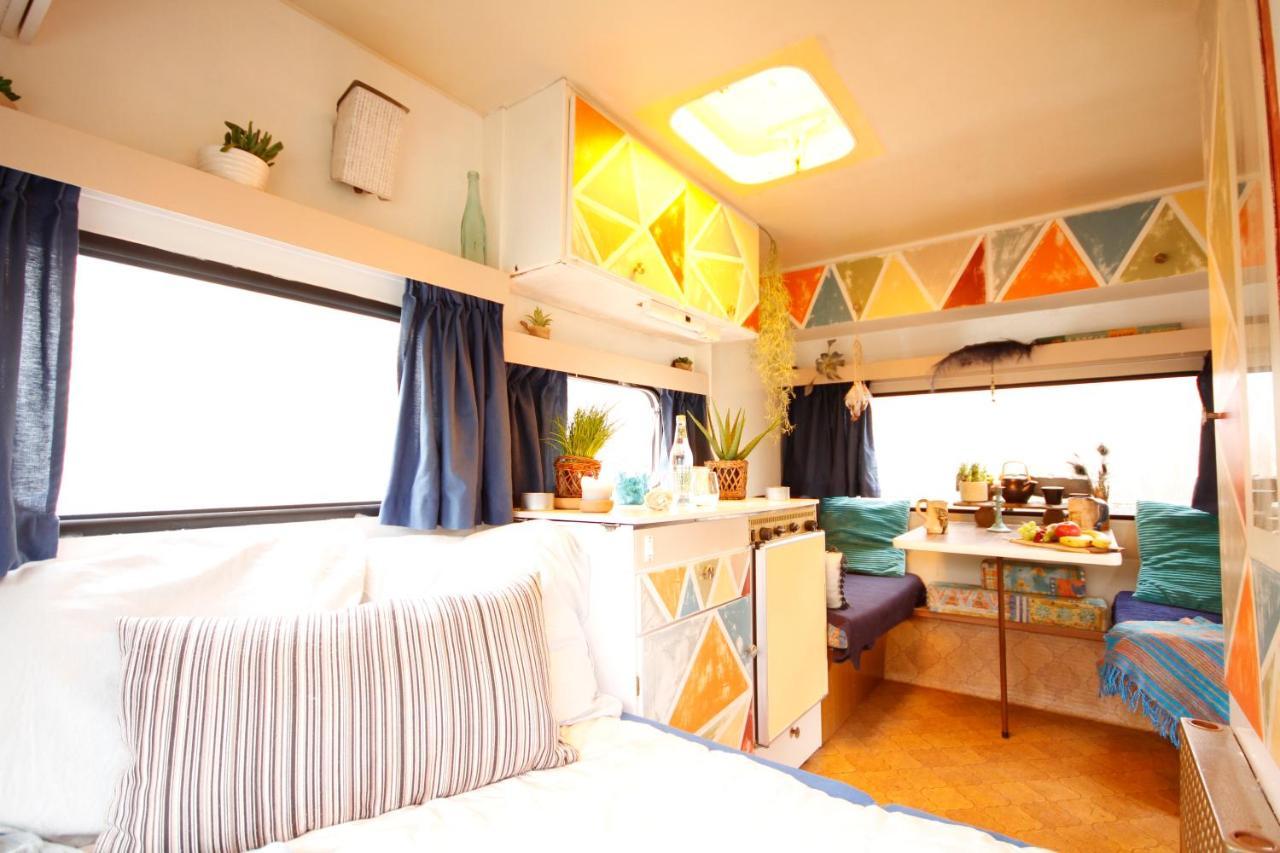 Bamboo Lodge Groningen Exterior foto